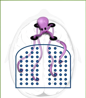 How the chunks work like tentacles